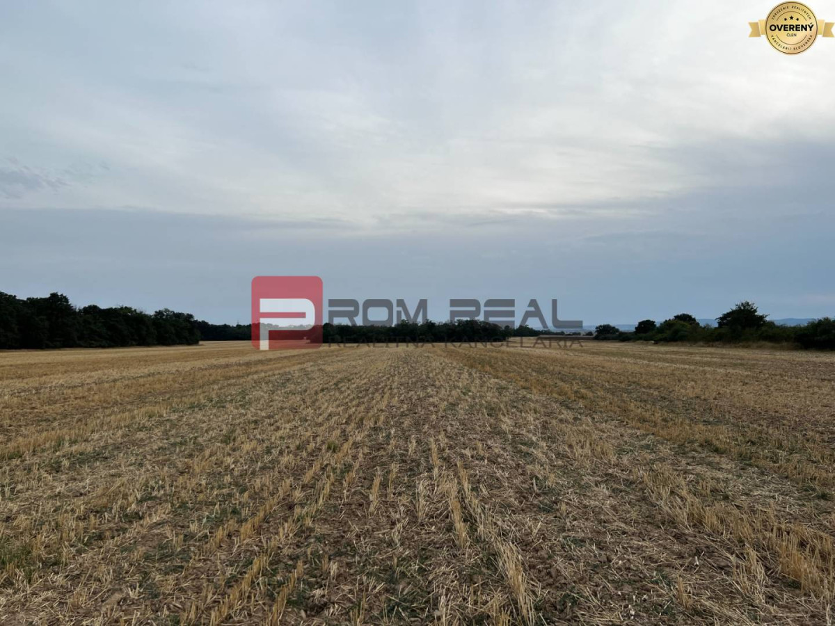 PREDAJ investičného pozemku Veľký Biel - Senec
