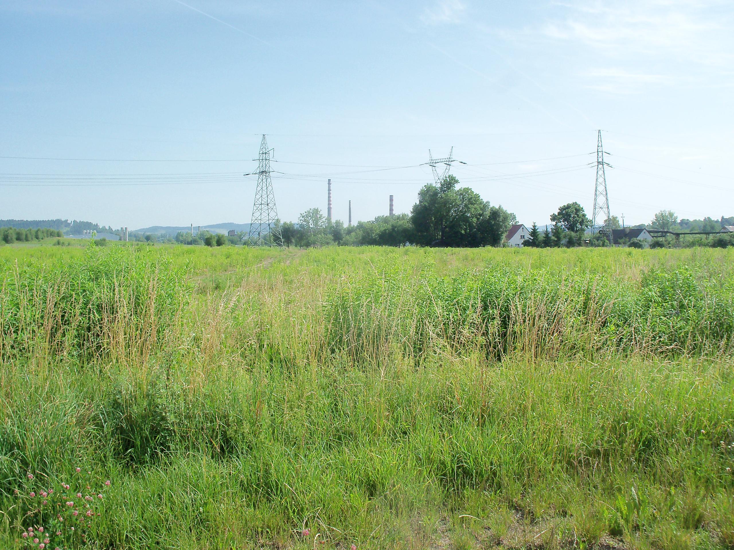 Działka, Wrocław