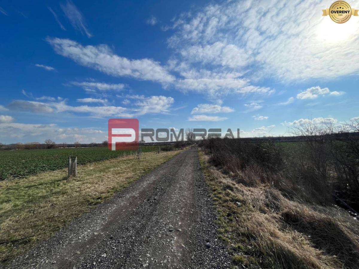 Orná pôda 5 662 m2 k.ú. Pezinok, dostupná po poľnej ceste | NA PREDAJ