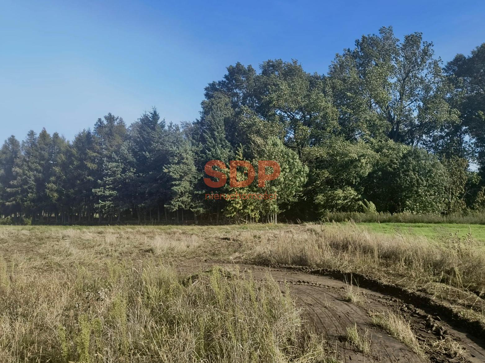 880 m² na Twój dom – spokojne Pełczyce
