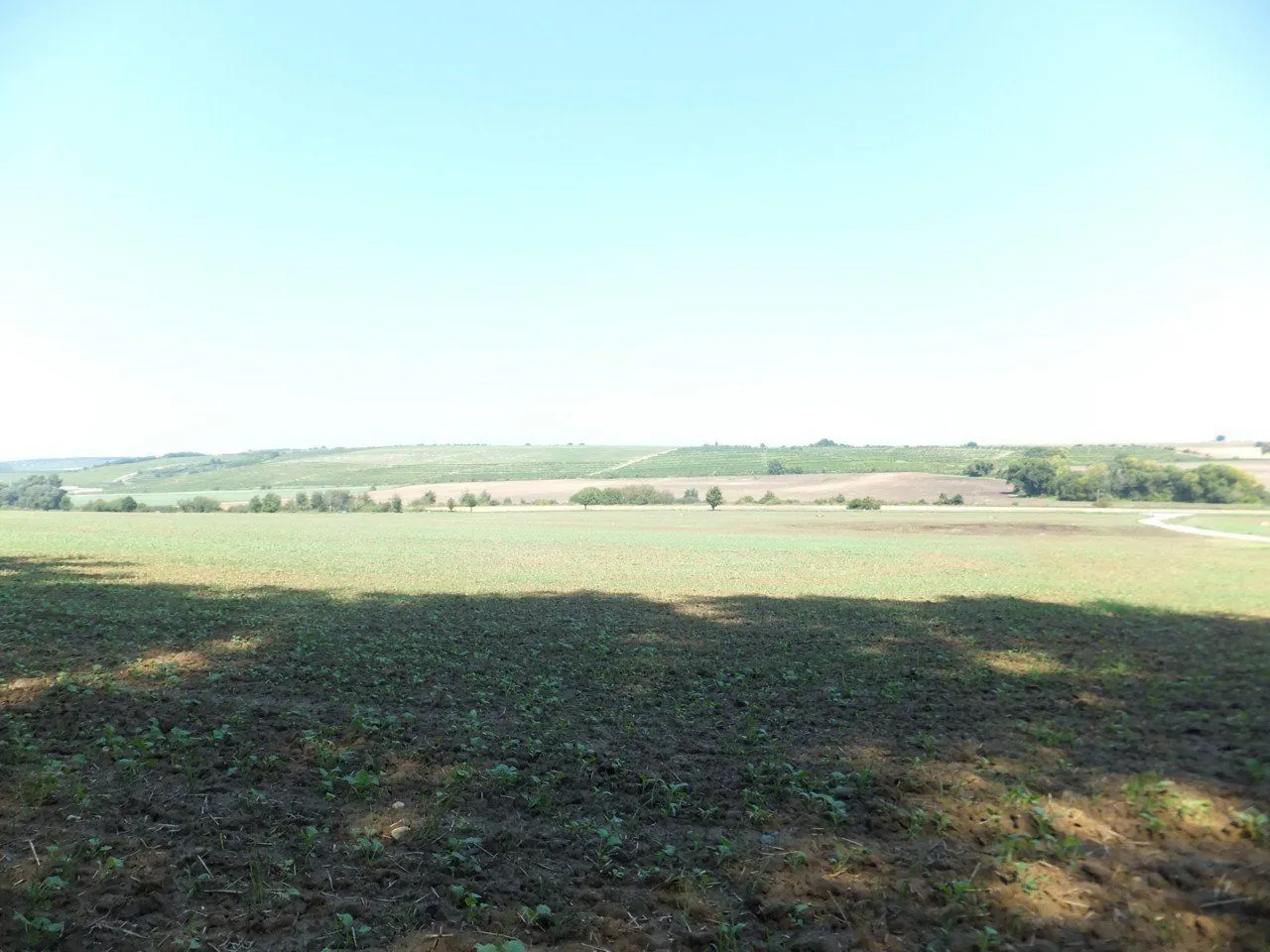 Exkluzívne PNORF –  orná pôda, 5571 m2, 12 €/m²