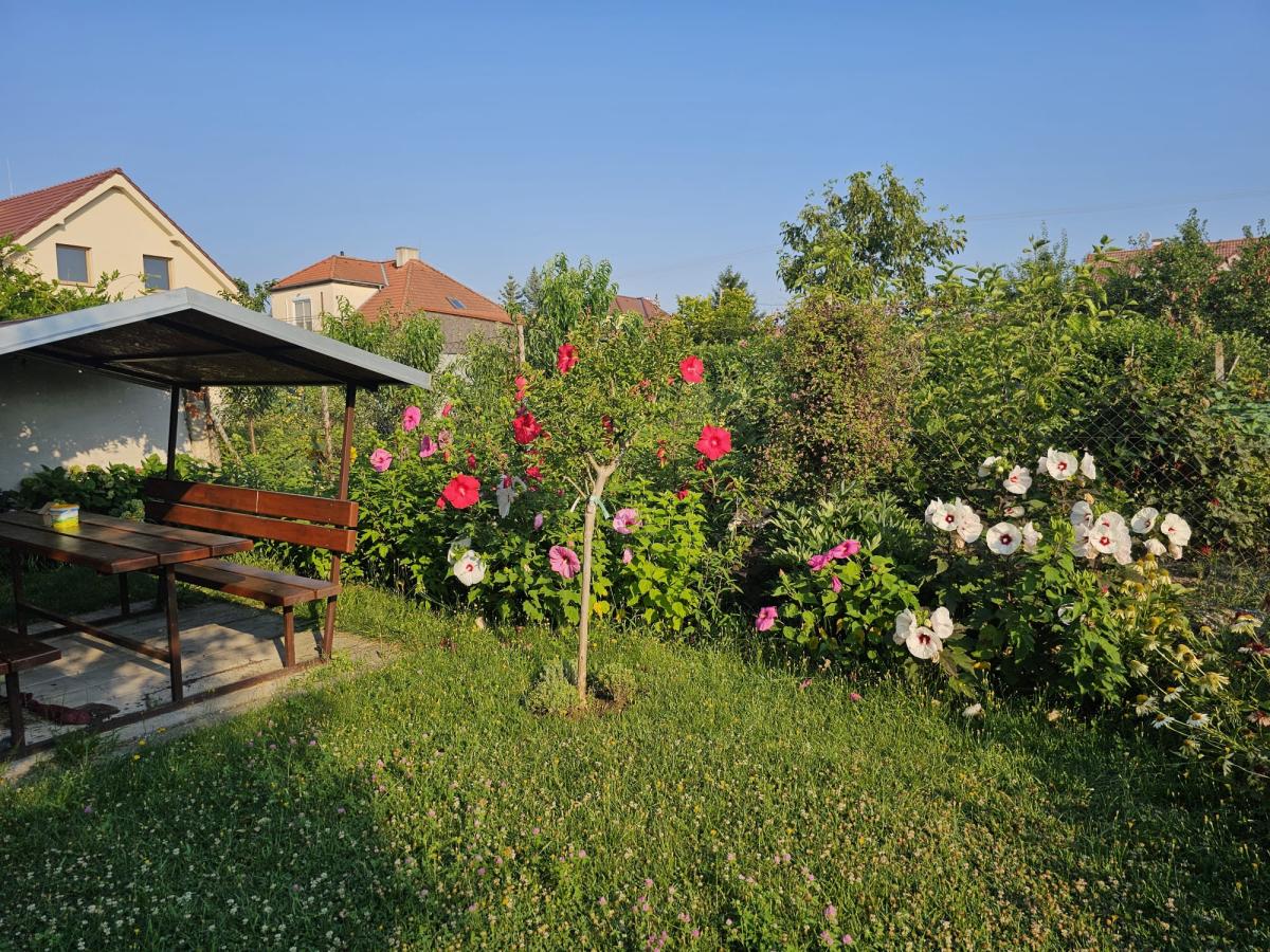 Pozemok 745 m2 Pezinok pri centre s rodinným domom