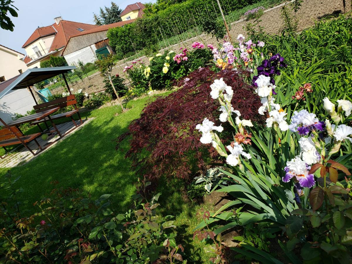 Pozemok 745 m2 Pezinok pri centre s rodinným domom