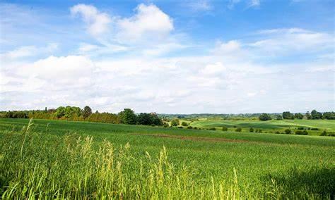 Predaj ornej pôdy v Bratislave – Čunovo