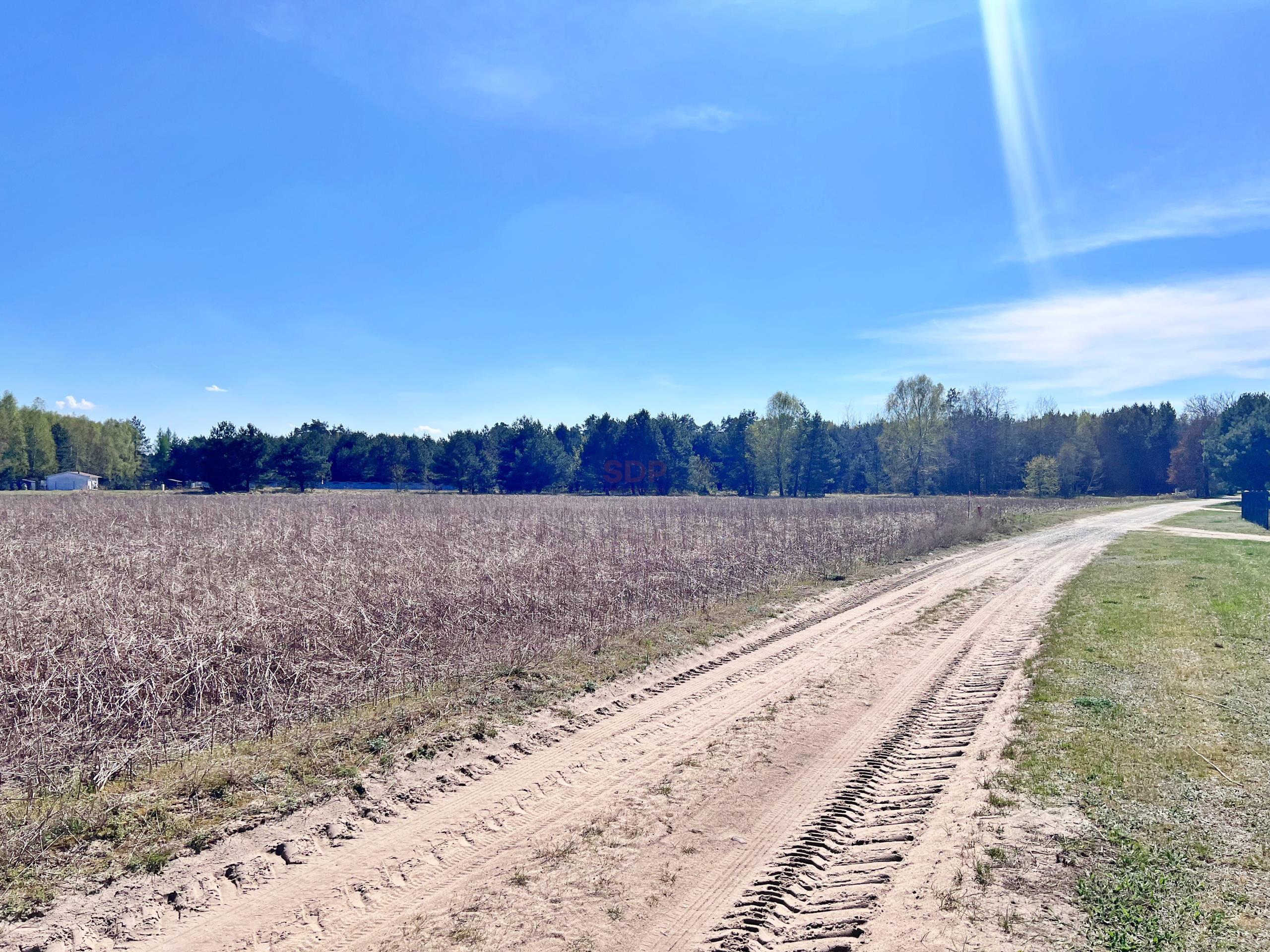 Spokój, natura, potencjał – 1,7 ha działki!