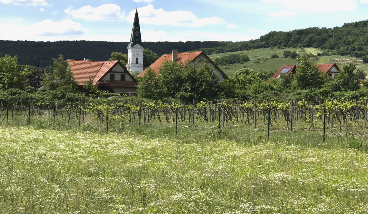 SLNEČNÝ STAVEBNÝ POZEMOK V LIMBACHU - PLATNÉ ÚZEMNÉ ROZHODNUTIE
